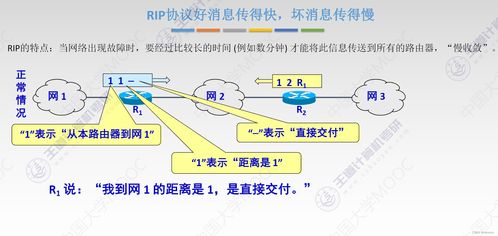 網絡層 計算機網絡技術開發的基石與核心